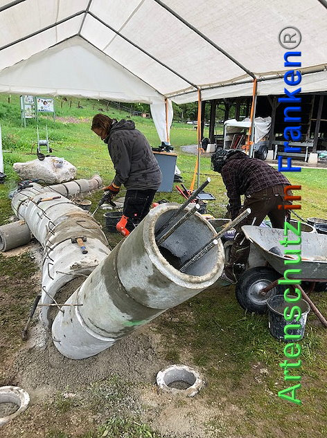 © Artenschutz in Franken® / Krautwurst Bild zum Eintrag (1023557-160)