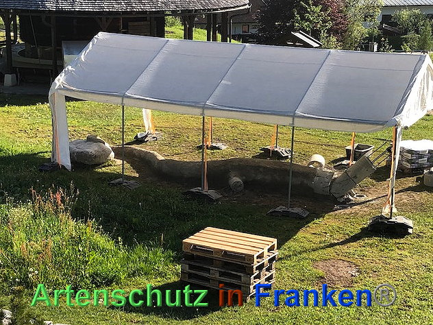 © Artenschutz in Franken® / Krautwurst Bild zum Eintrag (1023587-160)