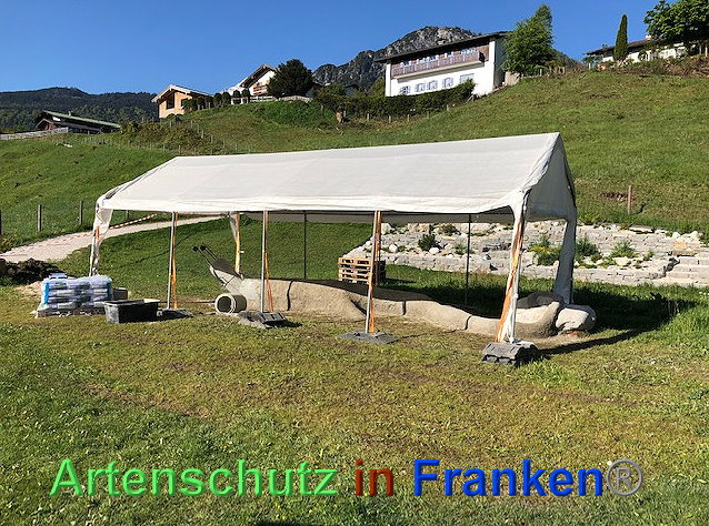 © Artenschutz in Franken® / Krautwurst Bild zum Eintrag (1023589-160)