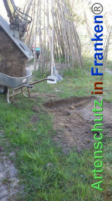 Bild zum Eintrag (1023617-160)