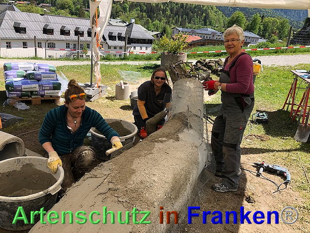 © Artenschutz in Franken® / Krautwurst Bild zum Eintrag (1023651-160)
