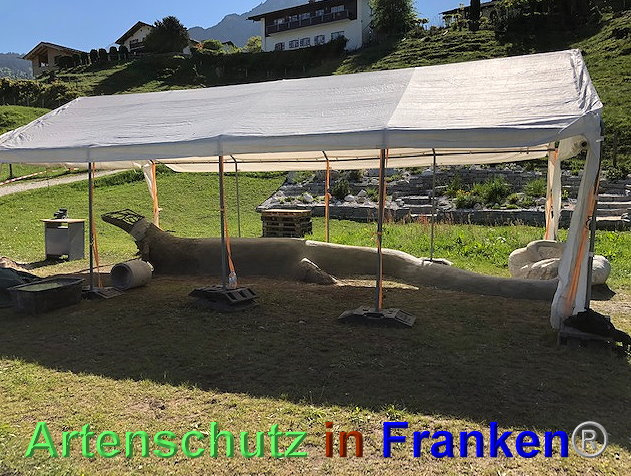 © Artenschutz in Franken® / Krautwurst Bild zum Eintrag (1023654-160)