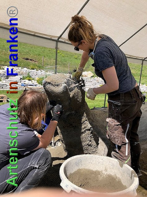© Artenschutz in Franken® / Krautwurst Bild zum Eintrag (1023678-160)