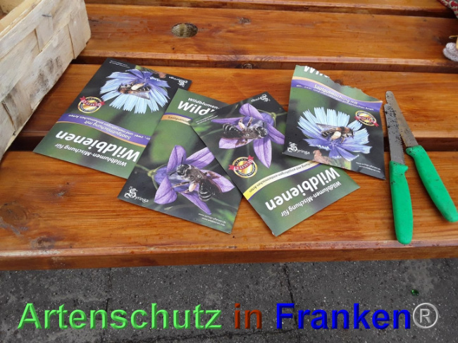 © Artenschutz in Franken® / Kindergarten Sylt - Hörnum Bild zum Eintrag (1023691-160)