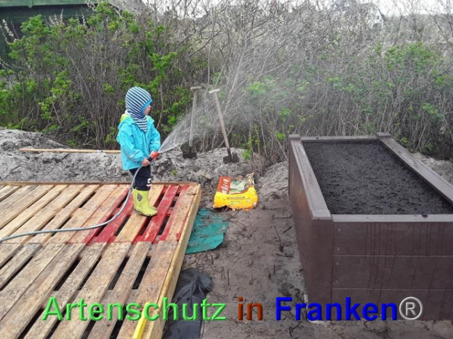© Artenschutz in Franken® / Kindergarten Sylt - Hörnum Bild zum Eintrag (1023694-160)