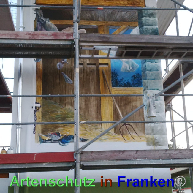 © Artenschutz in Franken® Bild zum Eintrag (1023707-160)