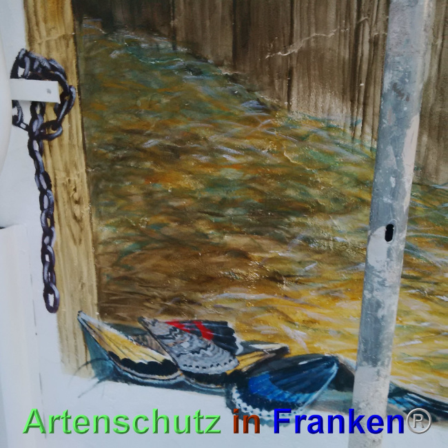 © Artenschutz in Franken® Bild zum Eintrag (1023709-160)