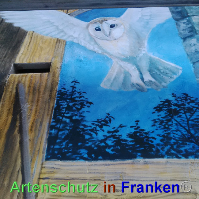 © Artenschutz in Franken® Bild zum Eintrag (1023710-160)