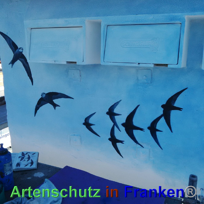 © Artenschutz in Franken® Bild zum Eintrag (1023711-160)