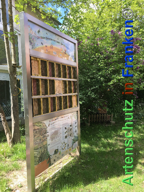 © Artenschutz in Franken® Bild zum Eintrag (1023759-160)