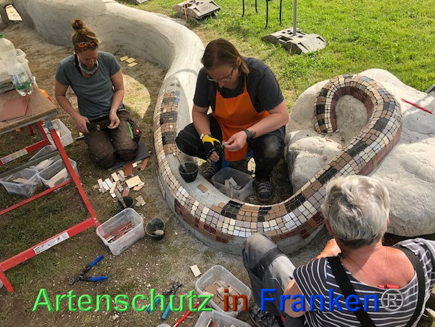 © Artenschutz in Franken® / Krautwurst Bild zum Eintrag (1023790-160)