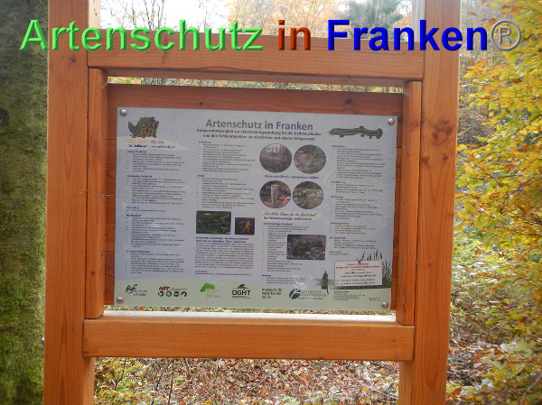 Bild zum Eintrag (102386-160)