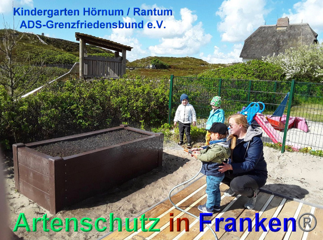 © Artenschutz in Franken® / Kindergarten Sylt - Hörnum Bild zum Eintrag (1023895-160)