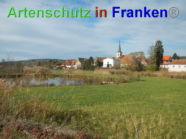 Bild zum Eintrag (102390-160)