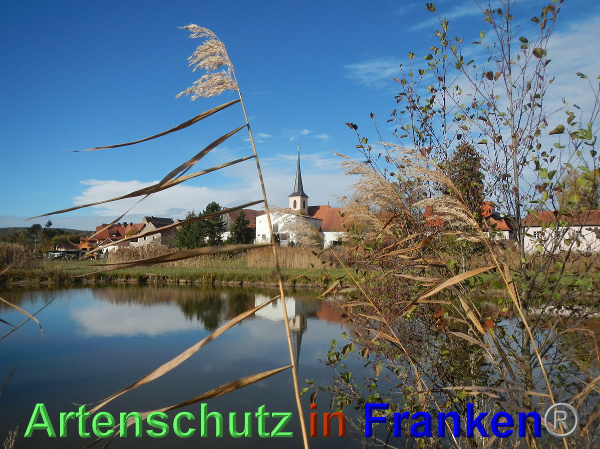 Bild zum Eintrag (102392-160)