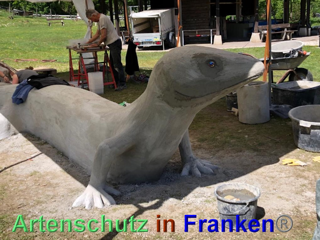 © Artenschutz in Franken® / Krautwurst Bild zum Eintrag (1023928-160)