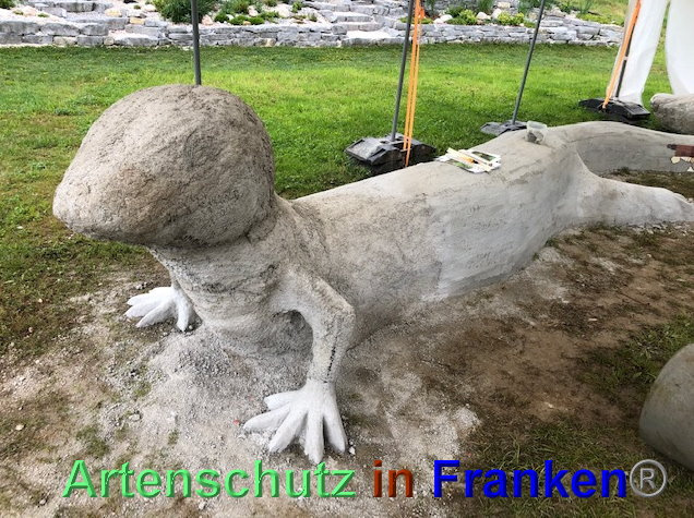 © Artenschutz in Franken® / Krautwurst Bild zum Eintrag (1023930-160)