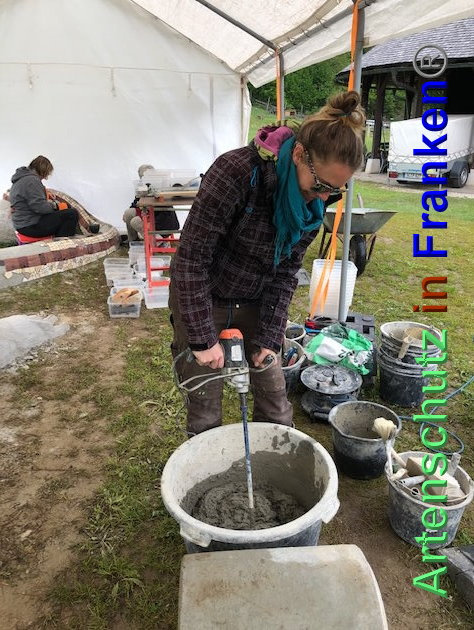 © Artenschutz in Franken® / Krautwurst Bild zum Eintrag (1023932-160)