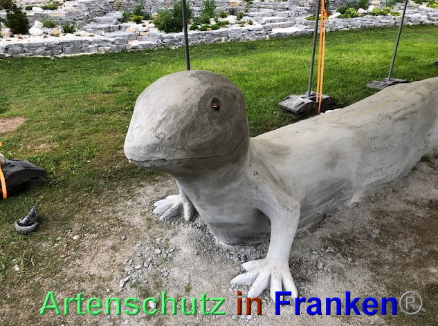 © Artenschutz in Franken® / Krautwurst Bild zum Eintrag (1023933-160)