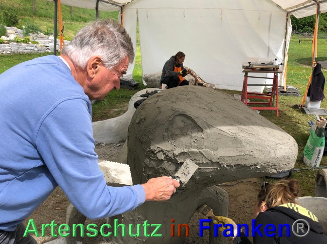 © Artenschutz in Franken® / Krautwurst Bild zum Eintrag (1023935-160)