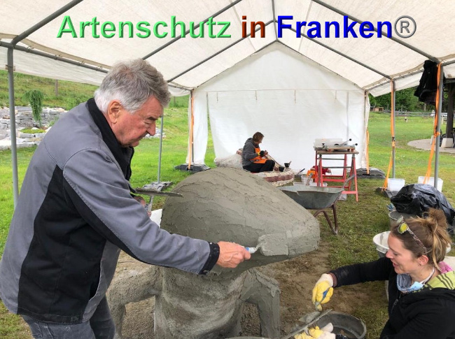 © Artenschutz in Franken® / Krautwurst Bild zum Eintrag (1023936-160)