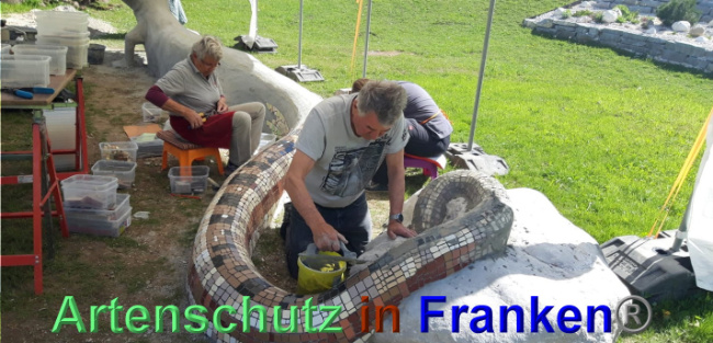 © Artenschutz in Franken® / Krautwurst Bild zum Eintrag (1023938-160)