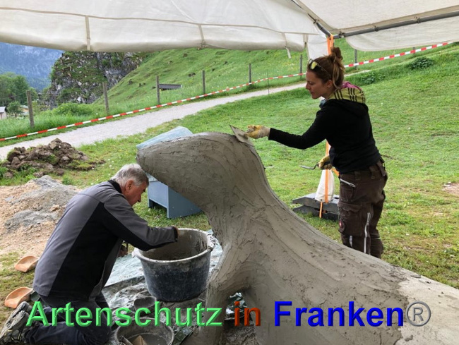 © Artenschutz in Franken® / Krautwurst Bild zum Eintrag (1023941-160)