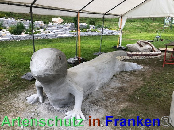 © Artenschutz in Franken® / Krautwurst Bild zum Eintrag (1023942-160)