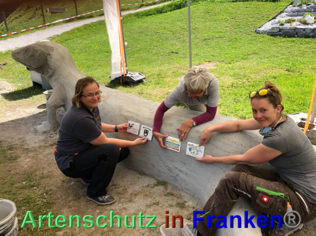 © Artenschutz in Franken® / Krautwurst Bild zum Eintrag (1023943-160)