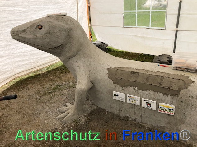 © Artenschutz in Franken® / Krautwurst Bild zum Eintrag (1023952-160)
