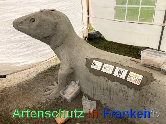 © Artenschutz in Franken® / Krautwurst Bild zum Eintrag (1023955-160)