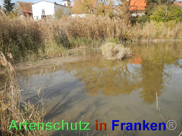 Bild zum Eintrag (102397-160)