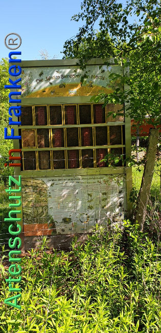 © Artenschutz in Franken® Bild zum Eintrag (1023975-160)