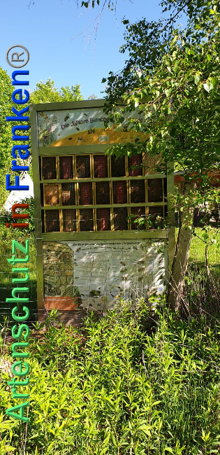 © Artenschutz in Franken® Bild zum Eintrag (1023977-160)