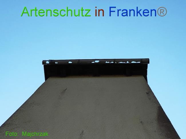 © Artenschutz in Franken® Bild zum Eintrag (1023996-160)