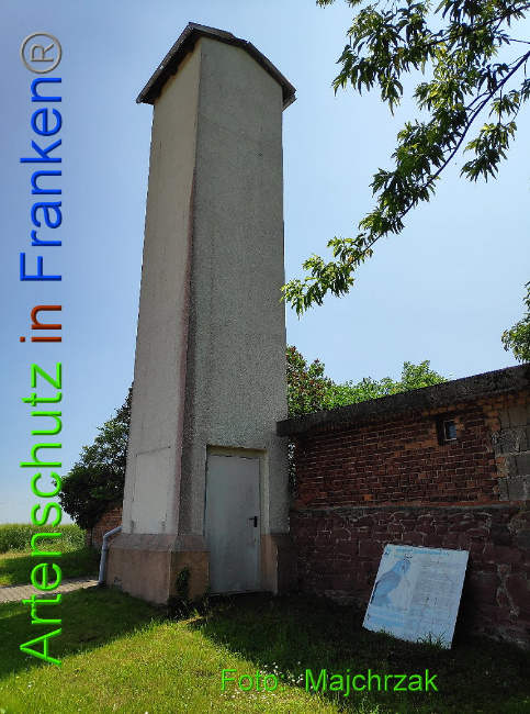 © Artenschutz in Franken® Bild zum Eintrag (1023997-160)