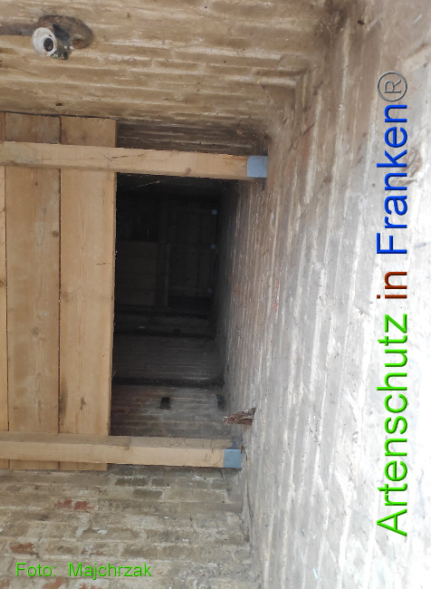 © Artenschutz in Franken® Bild zum Eintrag (1023998-160)