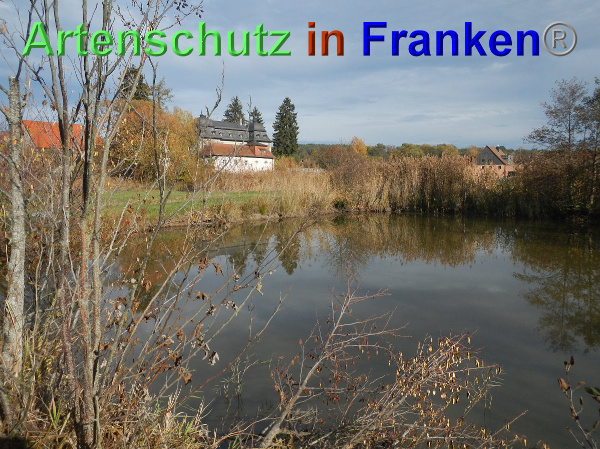 Bild zum Eintrag (102400-160)