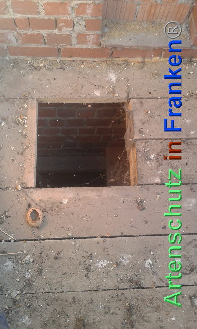 © Artenschutz in Franken® Bild zum Eintrag (1024000-160)