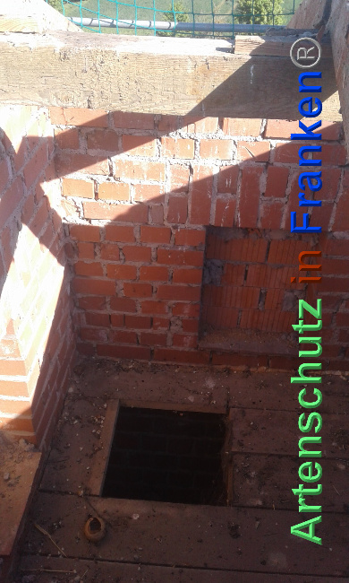 © Artenschutz in Franken® Bild zum Eintrag (1024002-160)