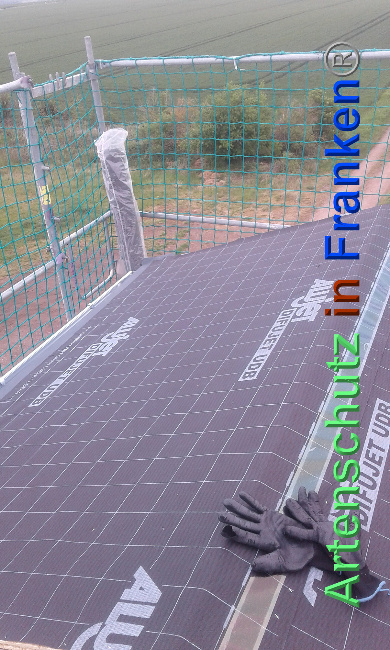 © Artenschutz in Franken® Bild zum Eintrag (1024004-160)