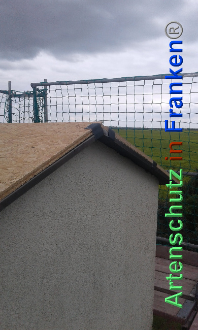 © Artenschutz in Franken® Bild zum Eintrag (1024007-160)