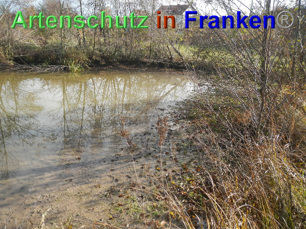 Bild zum Eintrag (102403-160)