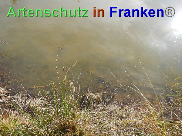 Bild zum Eintrag (102404-160)