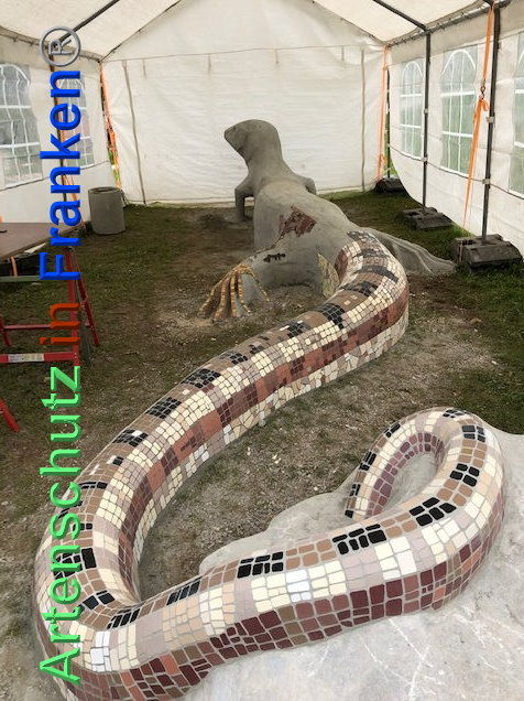 © Artenschutz in Franken® / Krautwurst Bild zum Eintrag (1024062-160)