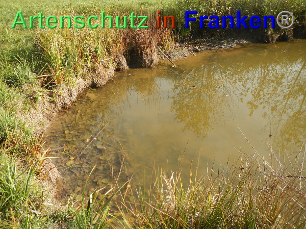 Bild zum Eintrag (102407-160)