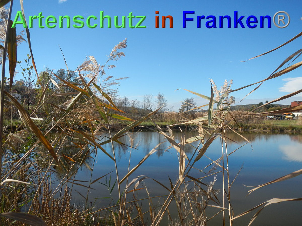 Bild zum Eintrag (102409-160)