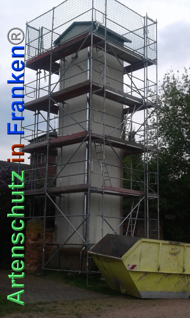 © Artenschutz in Franken® Bild zum Eintrag (1024090-160)