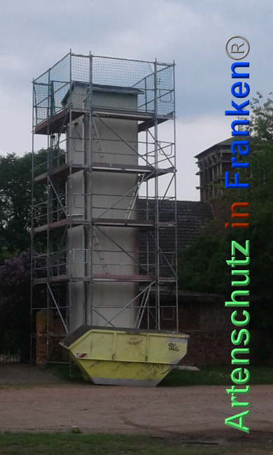 © Artenschutz in Franken® Bild zum Eintrag (1024091-160)