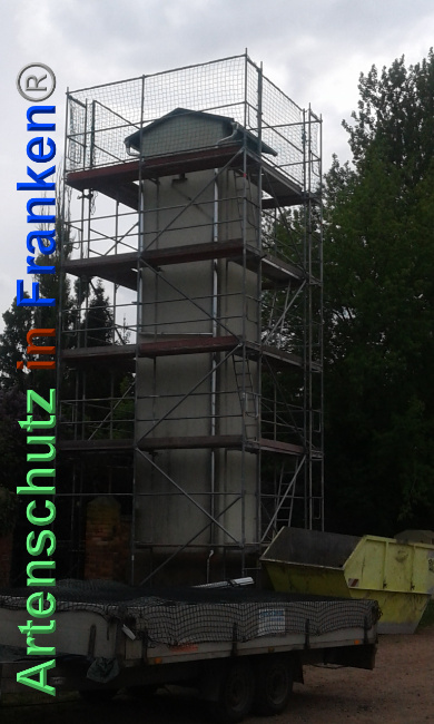 © Artenschutz in Franken® Bild zum Eintrag (1024092-160)